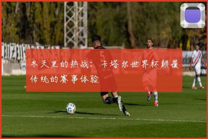 冬天里的热战：卡塔尔世界杯颠覆传统的赛事体验