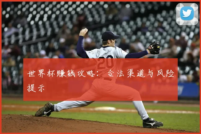世界杯赚钱攻略：合法渠道与风险提示