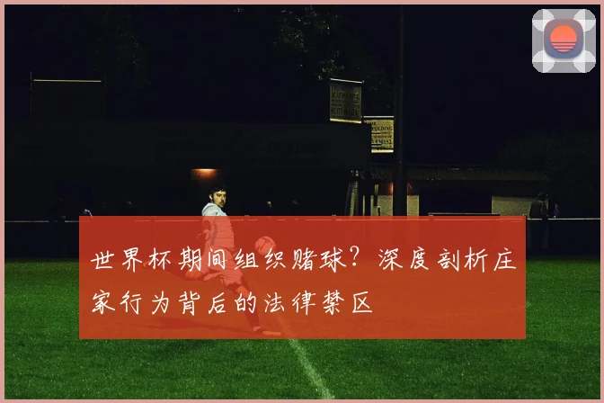 世界杯期间组织赌球？深度剖析庄家行为背后的法律禁区